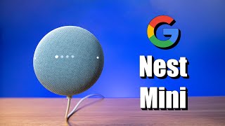 Setting Up the Google Nest Mini, New Features & World Wide Duo Calls