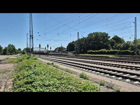 CLASS 77 BR 266.4 - Euro Cargo Rail - DB Cargo "247 044-1" • Güterzug / freight train