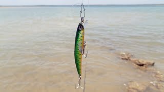 Yo-zuri pins minnow f
