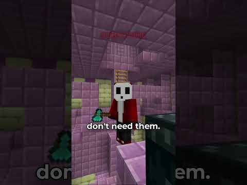 Vivilly - UNSPOKEN MINECRAFT RULES