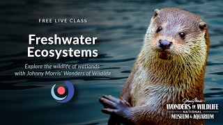 Varsity Tutors' StarCourse - Freshwater Ecosystems with Wonders of Wildlife