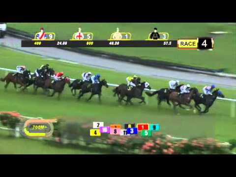 ブラックサンダー　優勝　2016.05.08 R04