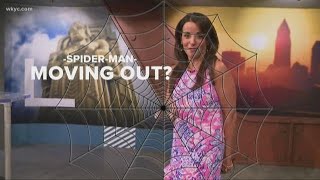 Hollie Strano's spidey-senses