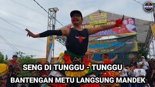 Download lagu BANTENG METU LANGSUNG MANDEK❗️Kewan Alas Jaranan Rogo Samboyo Putro Live Kaloran Ngronggot Nganjuk mp3