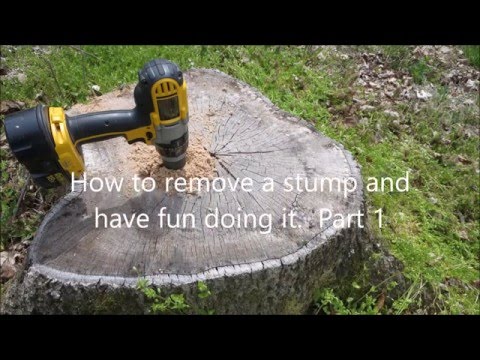 Easy Way to Remove Tree Stumps - Part 1