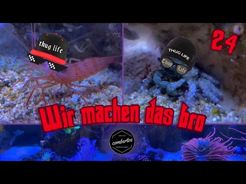 Lido200 MWA #24 | Räumkommando |