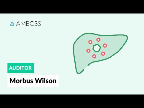 Morbus Wilson - Pathophysiologie, Laborparameter - AMBOSS Auditor