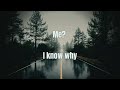 September Sun by Type O Negative lyrics video