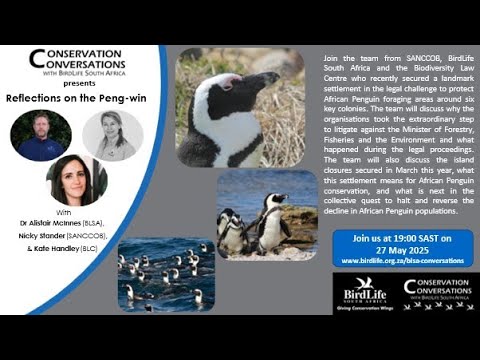 Conservation Conversations: African Penguins - Dr A McInnes, N Stander, and K Handley (27May2025)