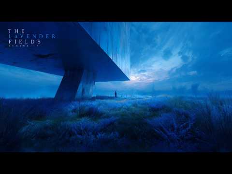 The Lavender Fields - Calming Aero Ambient Music for Focus