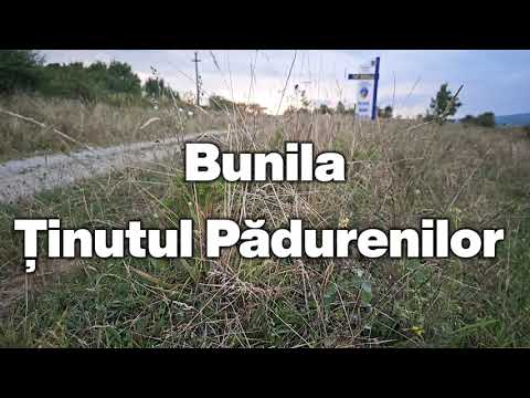 Bunila, drumul spre Vadu Dobrii