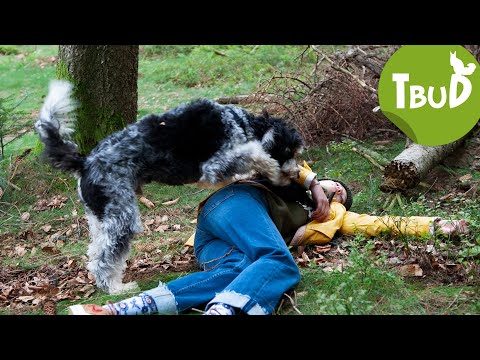 Jojo, der Held (Folge 94) | Tiere bis unters Dach