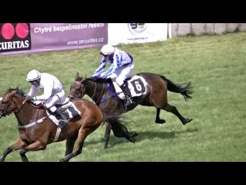 VIDEO Dostihový spolek - Třetí kvalifikace ve znamení olympiády a se závody poníků (OHLÉDNUTÍ)