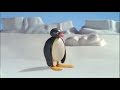 Pingu Intro