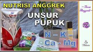 Download lagu NUTRISI ANGGREK: SHARING TENTANG PUPUK YANG DIPAKAI DI TERAS ANGGREK DAN ALASANNYA mp3 Download lagu NUTRISI ANGGREK: SHARING TENTANG PUPUK YANG DIPAKAI DI TERAS ANGGREK DAN ALASANNYA mp3