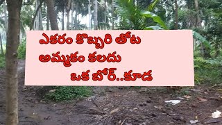  Agricultural Land for Sale in Amalapuram, East Godavari