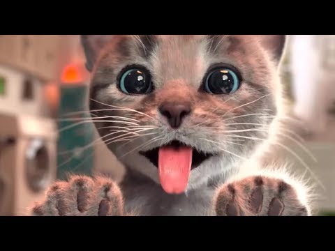 Fun Pet Care Kids Game |  Little Kitten Adventures | Learning Games for Toddlers