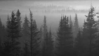 Music video thumbnail preview for ulver  Søfn - Ør Paa Alfers Lund by Ulver
