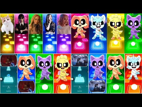 📹 ALL CUTE CATS PT.5 - IMAGINE DRAGONS ENEMY - JISOO FLOWER   SHAKIRA WAKA WAKA - LISA MONEY