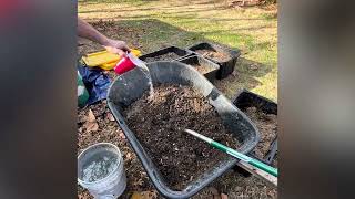 Making IMO4 from acorn IMO3 and native soil.