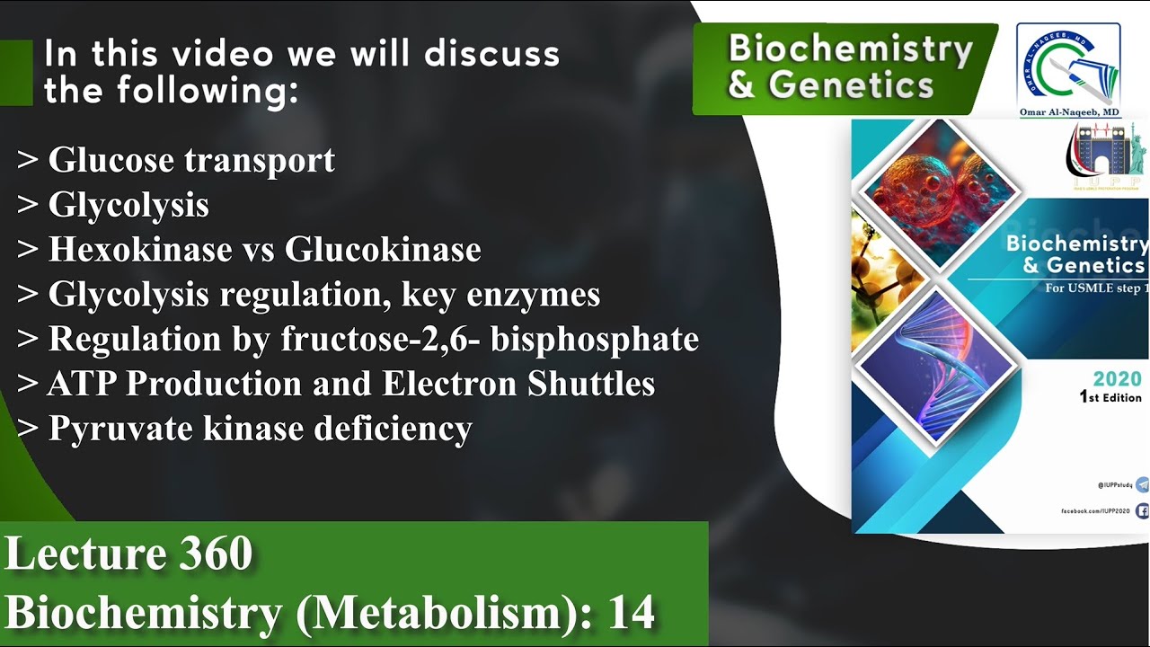 Glucose transport | Glycolysis | Shuttle Pathways | Pyruvate kinase deficiency