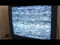 Closing To Teenage Mutant Ninja Turtles Leonardo Lightens Up 1991 VHS