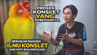 Download lagu ALL REVEALED!! HOW TO PROCESS A LOVEBIRD TO GET INTO A CONSLET - WITH Galang - Gemilang Abadi mp3