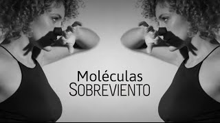 Sobreviento - Moléculas (Videoclip)