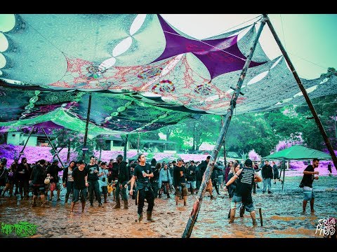 Mad Forest 2019 - SP BR (official aftermovie)