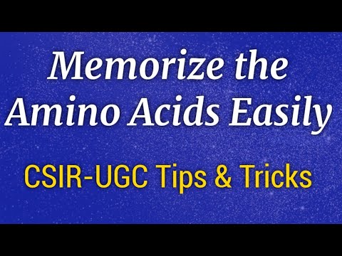 Trick to remember all 20 amino acids logically