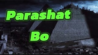 2024 ENGLISH-Parashat Bo &quot;Wisdom and Ignorance&quot; Moreh Rapha&#39;Yah [TT3]