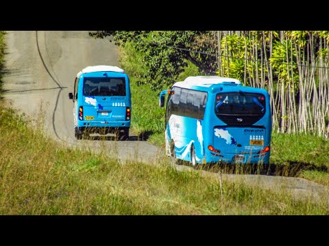 YUTONG ZK6908H9 | Buses PZ