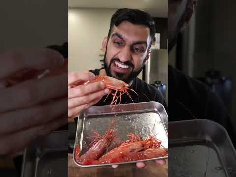 Let's Try a Live Spot Prawn