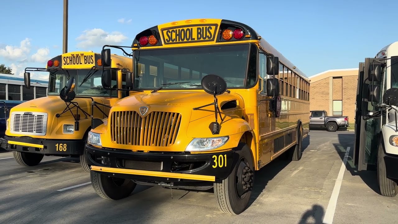 Quick Review Of Bus 301 ♿️.