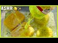 ASMR LEMON BUCKET Sponge Squeezing Extremely Satisfying