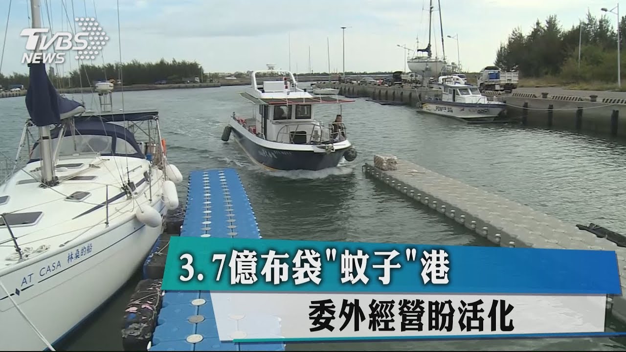 3.7億布袋「蚊子」港 委外經營盼活化