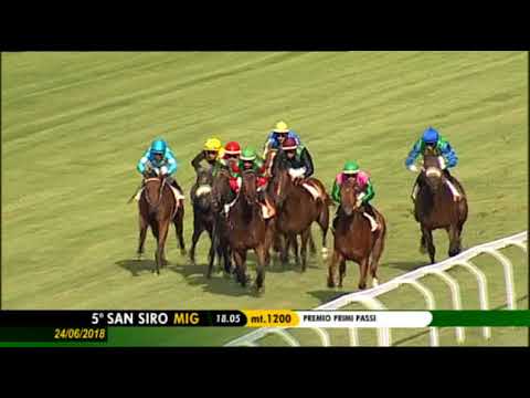 2018.06.24 Premio Primi Passi (ITA) - You Better Run