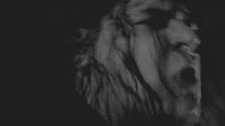 Leech Eclipse - Absurdo Fugir