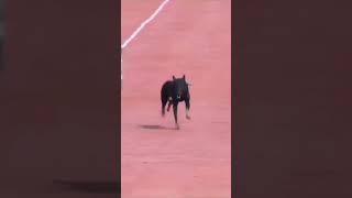 Ab Tumhare Hawale Vatan Sathi