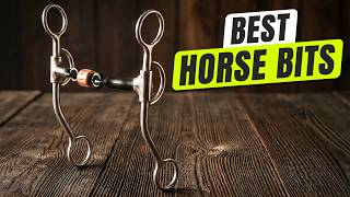 3 BEST Horse Bits
