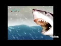 Funny Whatsapp Videos