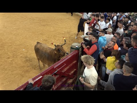 Zaragoza – Mañana vaquillera 13/10/2025 – Nº38/Matraquilla – "Las ventas/José Luis Cuartero” – HD