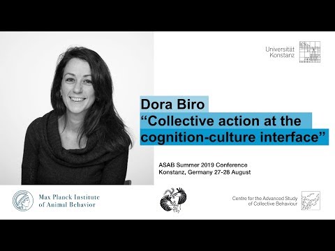 Dora Biro - Collective Action at the Cognition-culture Interface | ASAB Summer 2019