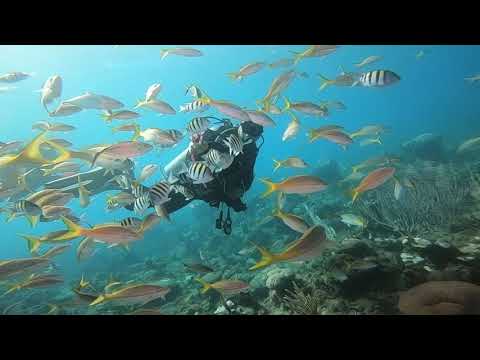 Why to dive at Faro Luna.Cienfuegos?