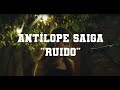 Ruido (Live)