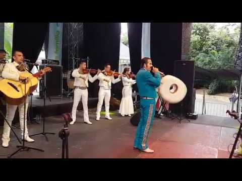 Los Tiros de Mi canana y El Rey  en Fiesta EPM Medellín