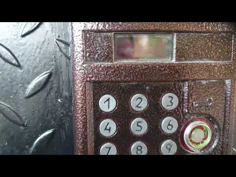 Ошибка Busy на домофоне Eltis DP300 TDC22