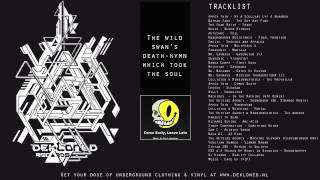 [ACID/IDM/TEKNO DJ Mix] Dekloned - The wild swan's death-hymn which took the soul