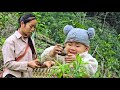 The Mountain Life Of Single Mother Tieu Ca And Her Son Along With Traditional Local Cuisine