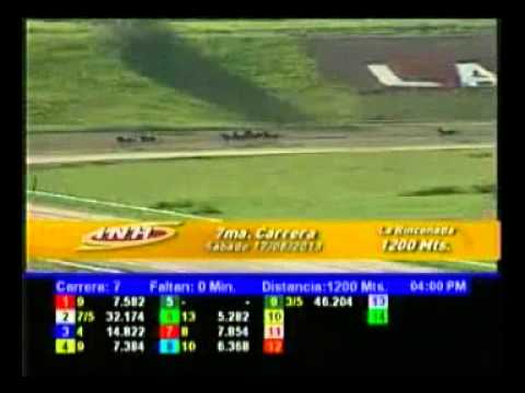 RESUMEN EN VIDEO CARRERAS SAB 17 AGOSTO LA RINCONADA